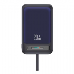 CD219